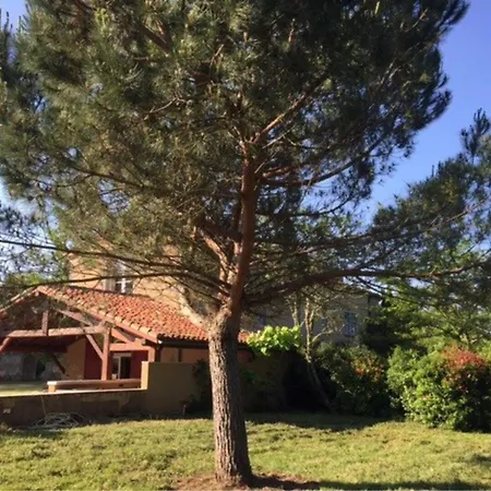Terrefort En Total Fargues-sur-Ourbise